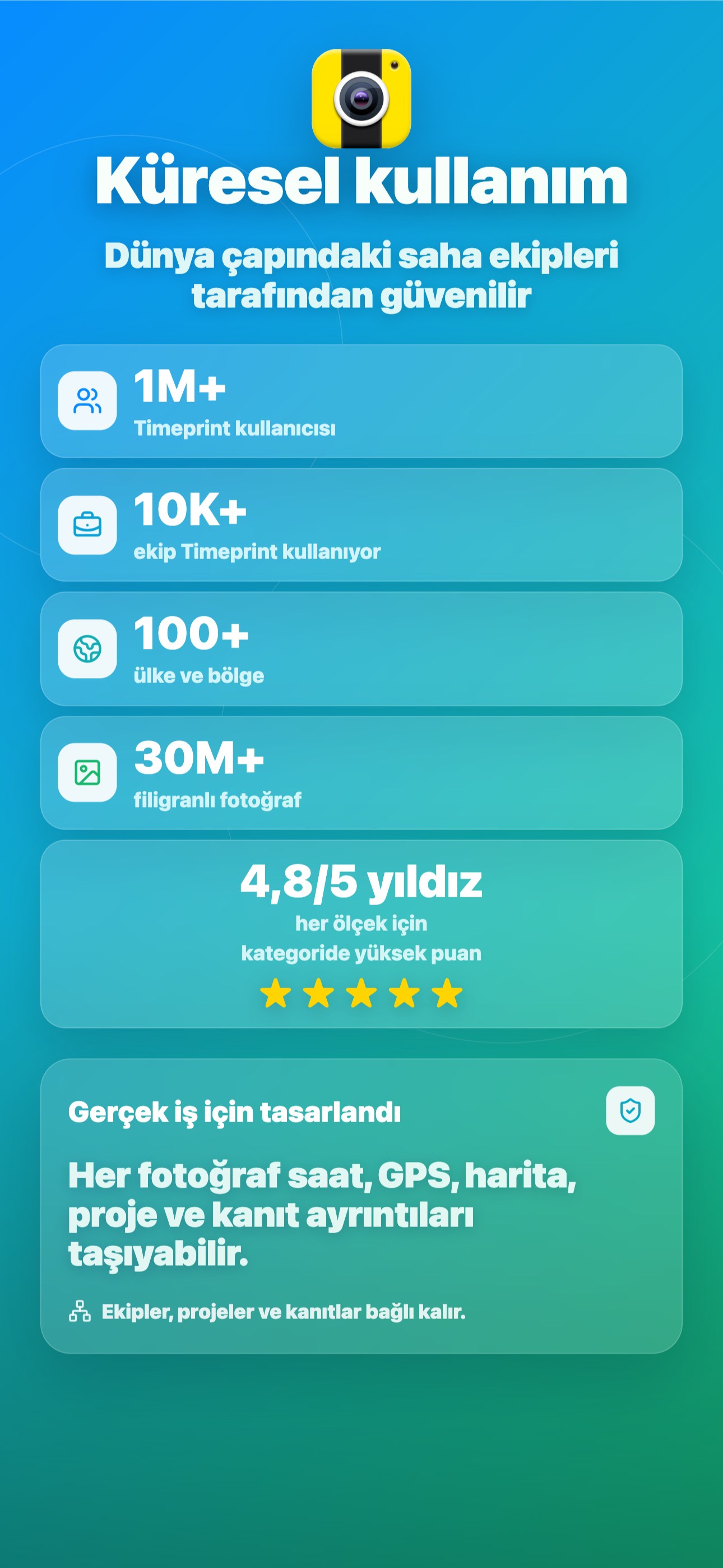 Küresel kullanım